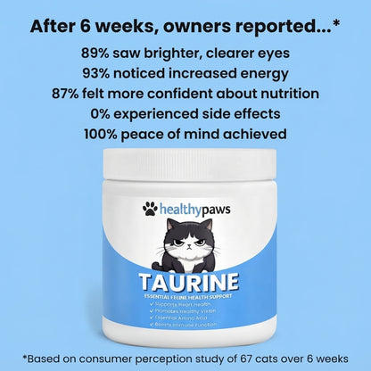 Stop the Silent Deficiency Before You See the Signs with KittySupps™ Taurine Supplement
