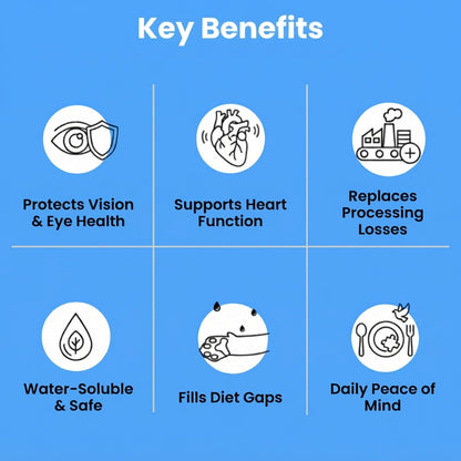 Stop the Silent Deficiency Before You See the Signs with KittySupps™ Taurine Supplement